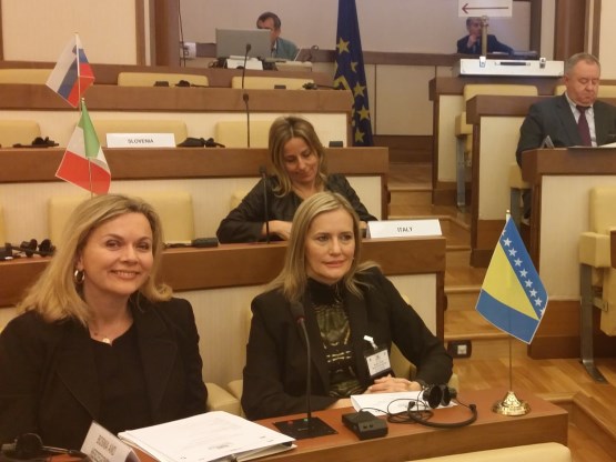Predsjedavajuća Stalne delegacije Parlamentarne skupštine BiH u Parlamentarnoj skupštini Centralnoevropske inicijative Monika Tomić učestvuje na sastanku Komiteta za kulturu PSCEI
